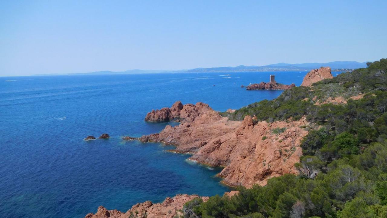 Grand Appartement Dans Maison Avec Piscine Privee Fréjus Eksteriør billede